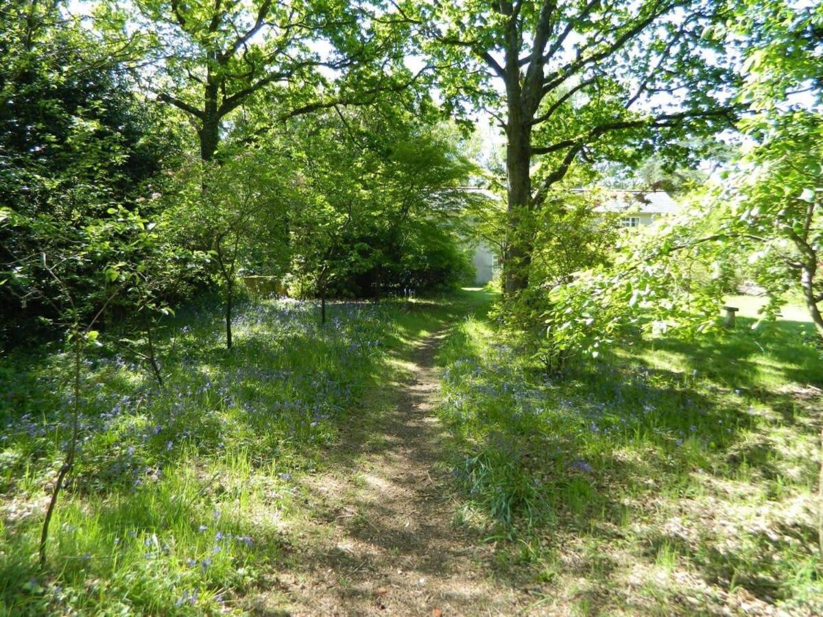 River Cottage A Country Retreat In Wooded Gardens East Stoke  Eksteriør bilde
