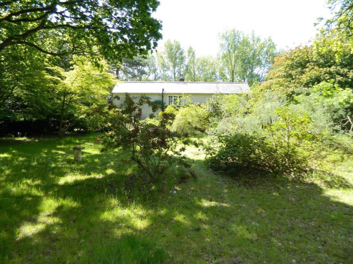 River Cottage A Country Retreat In Wooded Gardens East Stoke  Eksteriør bilde