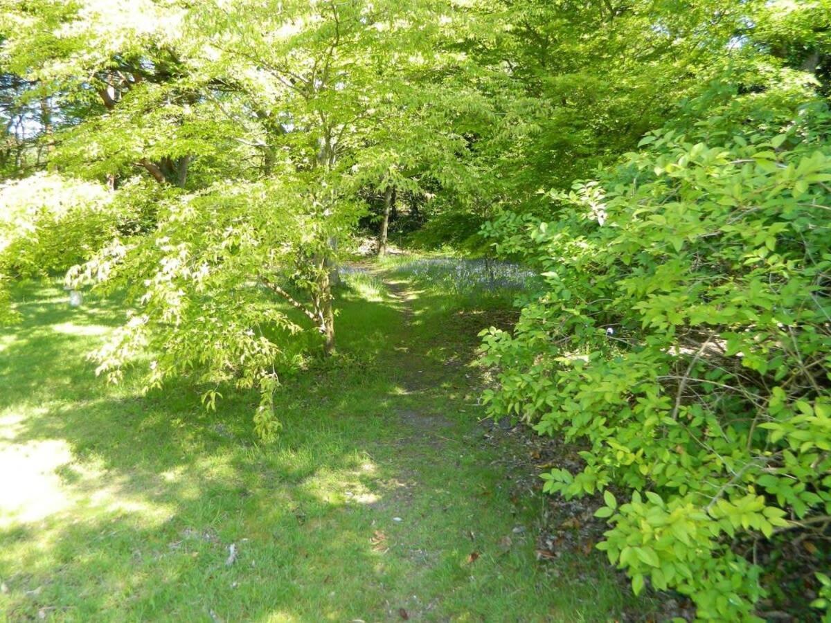 River Cottage A Country Retreat In Wooded Gardens East Stoke  Eksteriør bilde