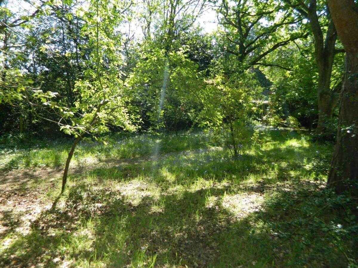 River Cottage A Country Retreat In Wooded Gardens East Stoke  Eksteriør bilde
